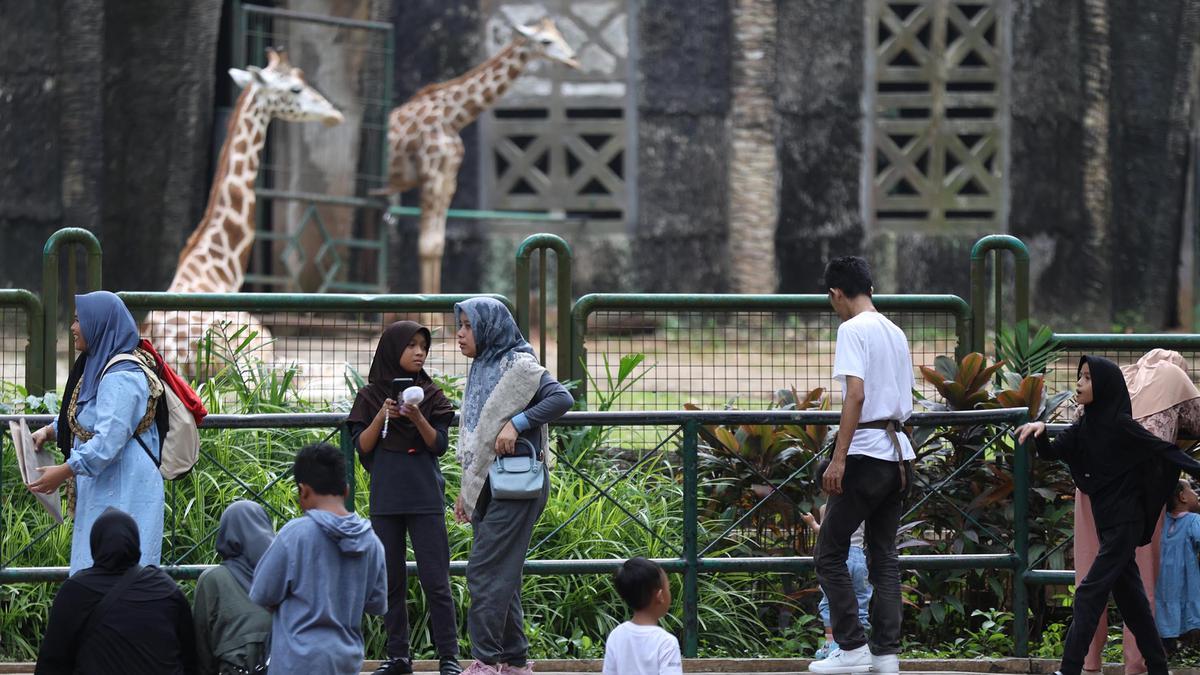 Ragunan Ramai 12 Ribu Pengunjung Saat Libur Isra Miraj