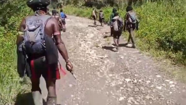 Anggota OPM Pelaku Penembakan ke Tito Karnavian Ditangkap