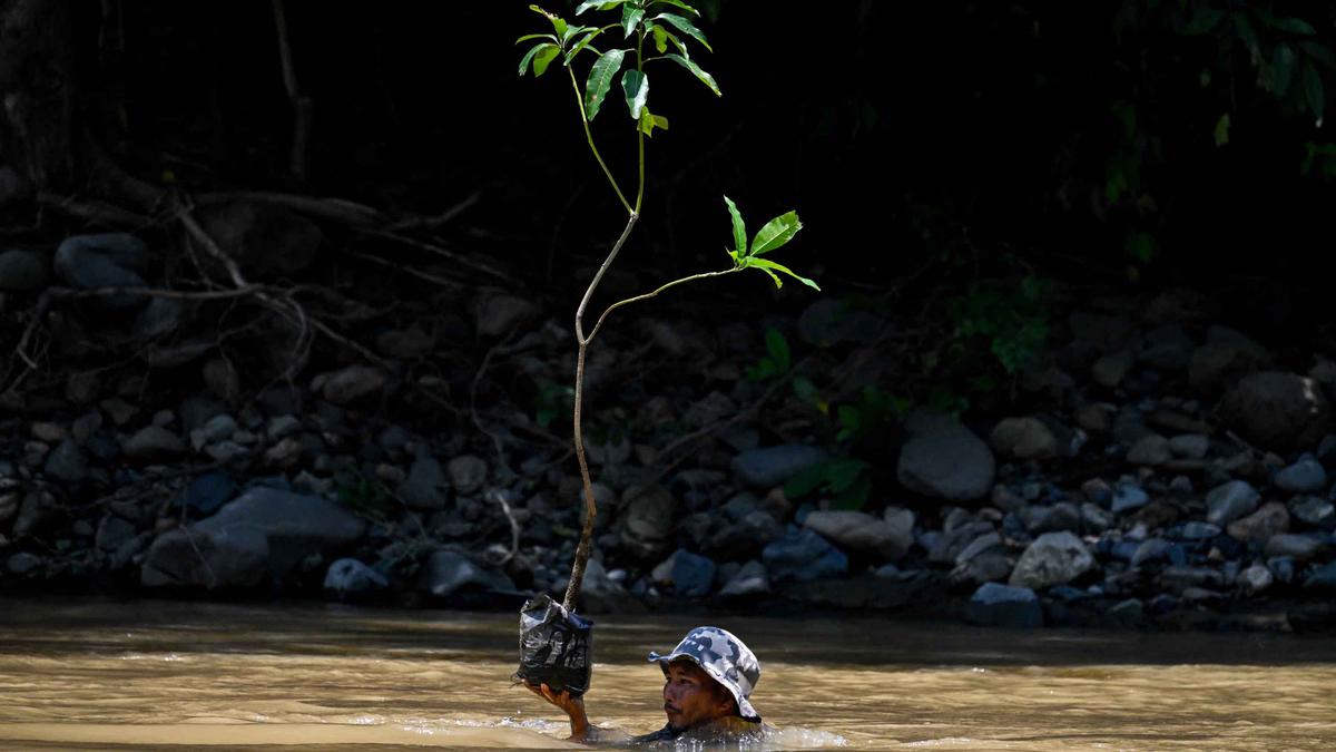 PTPN Group Tanam 142.400 Pohon untuk Lingkungan